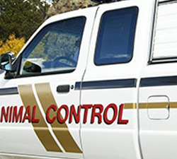animal control van